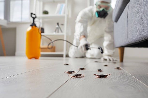 Trusted Cockroach Control service in Brook Highland, AL - Nex Pest Control