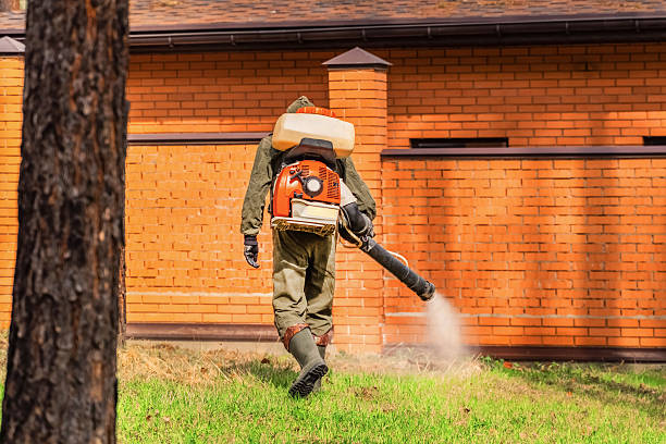 Trusted Ant Control service in Brook Highland, AL - Nex Pest Control